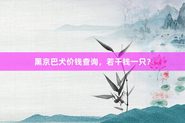 黑京巴犬价钱查询，若干钱一只？