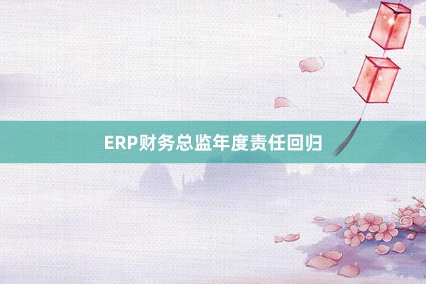 ERP财务总监年度责任回归